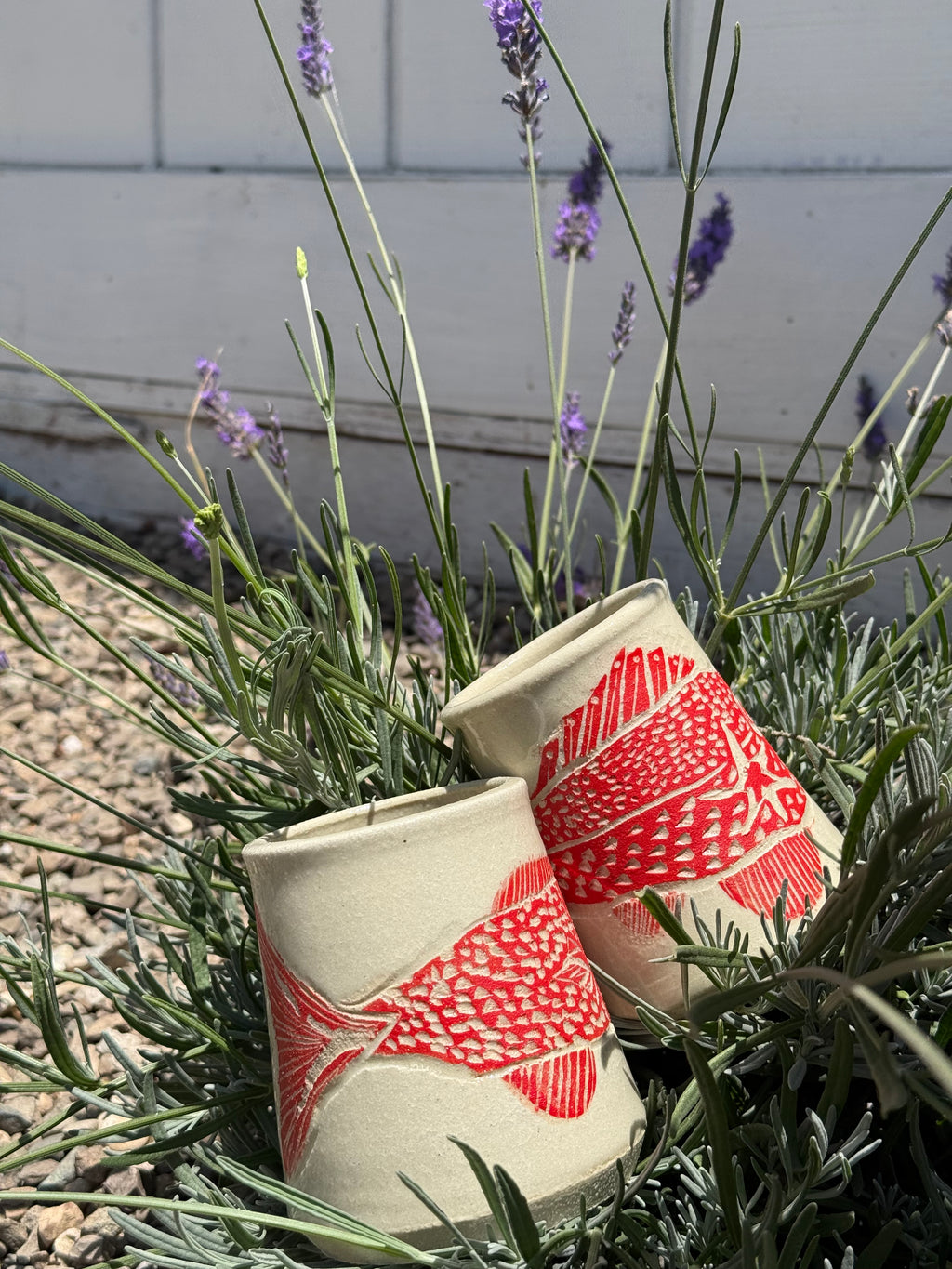 Red fish star cup-10oz