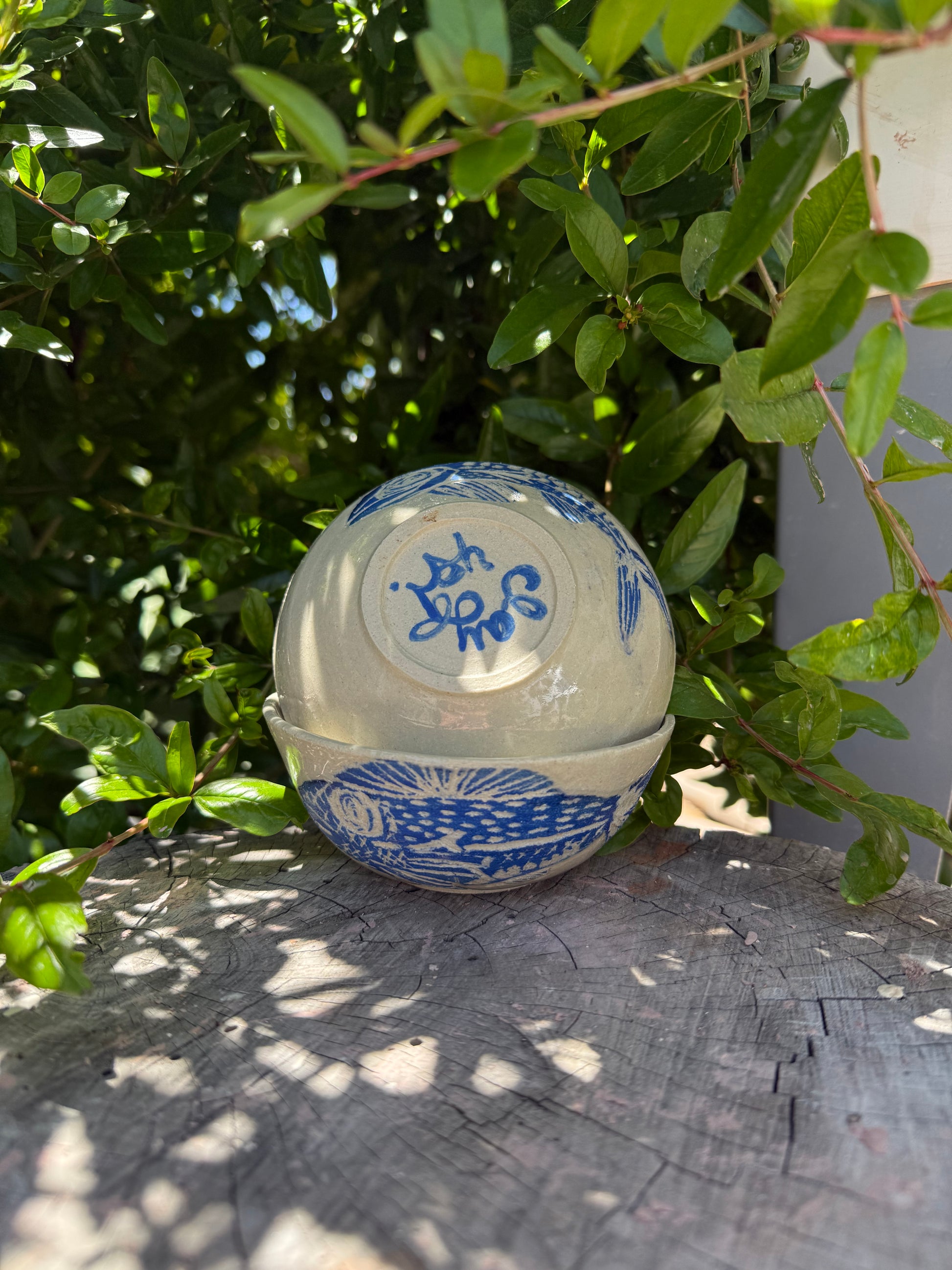 Small fish bowl