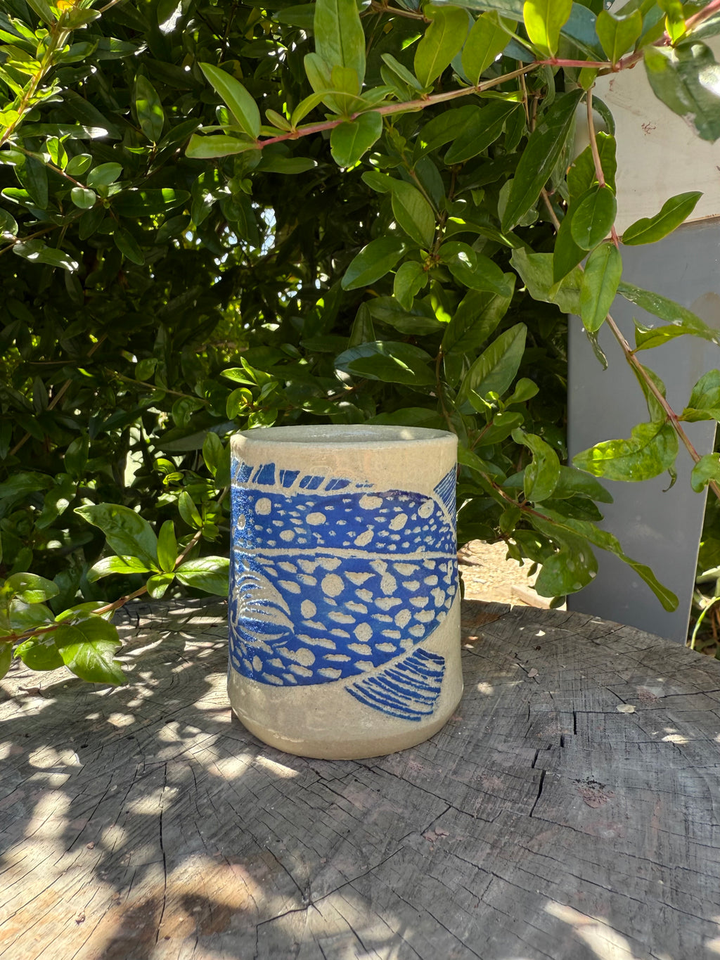 Giant Sea Bass Cup