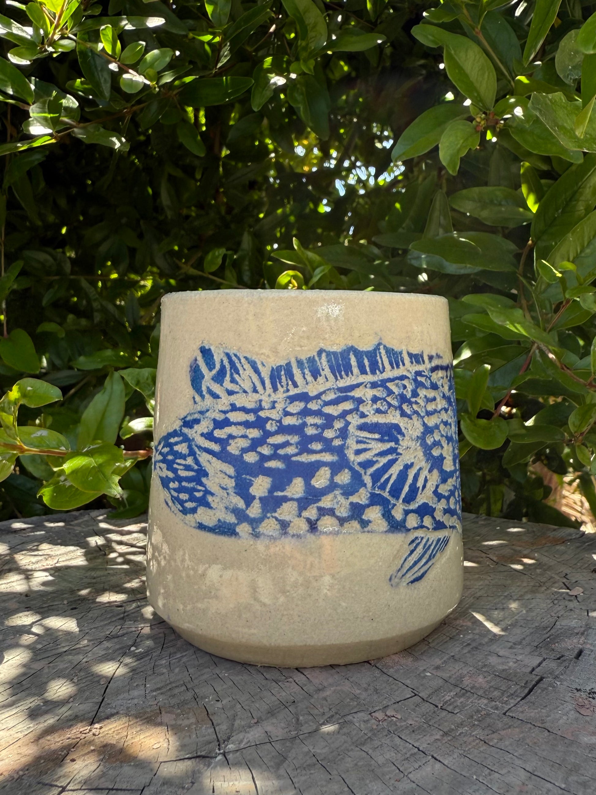 Sheephead Cup