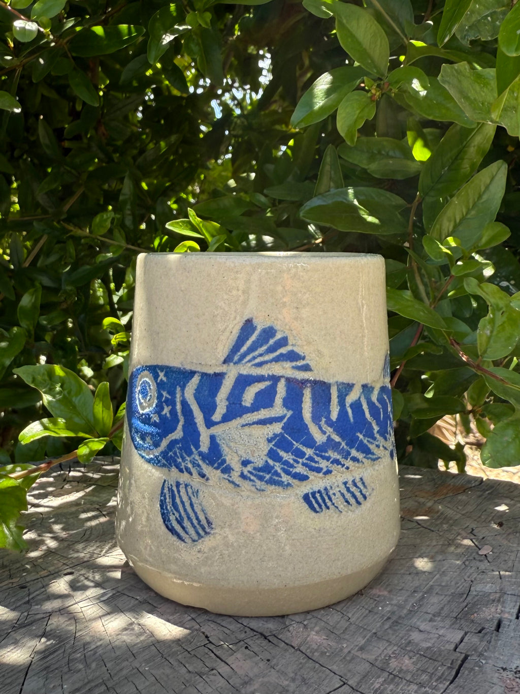 Mackerel Fish Cup