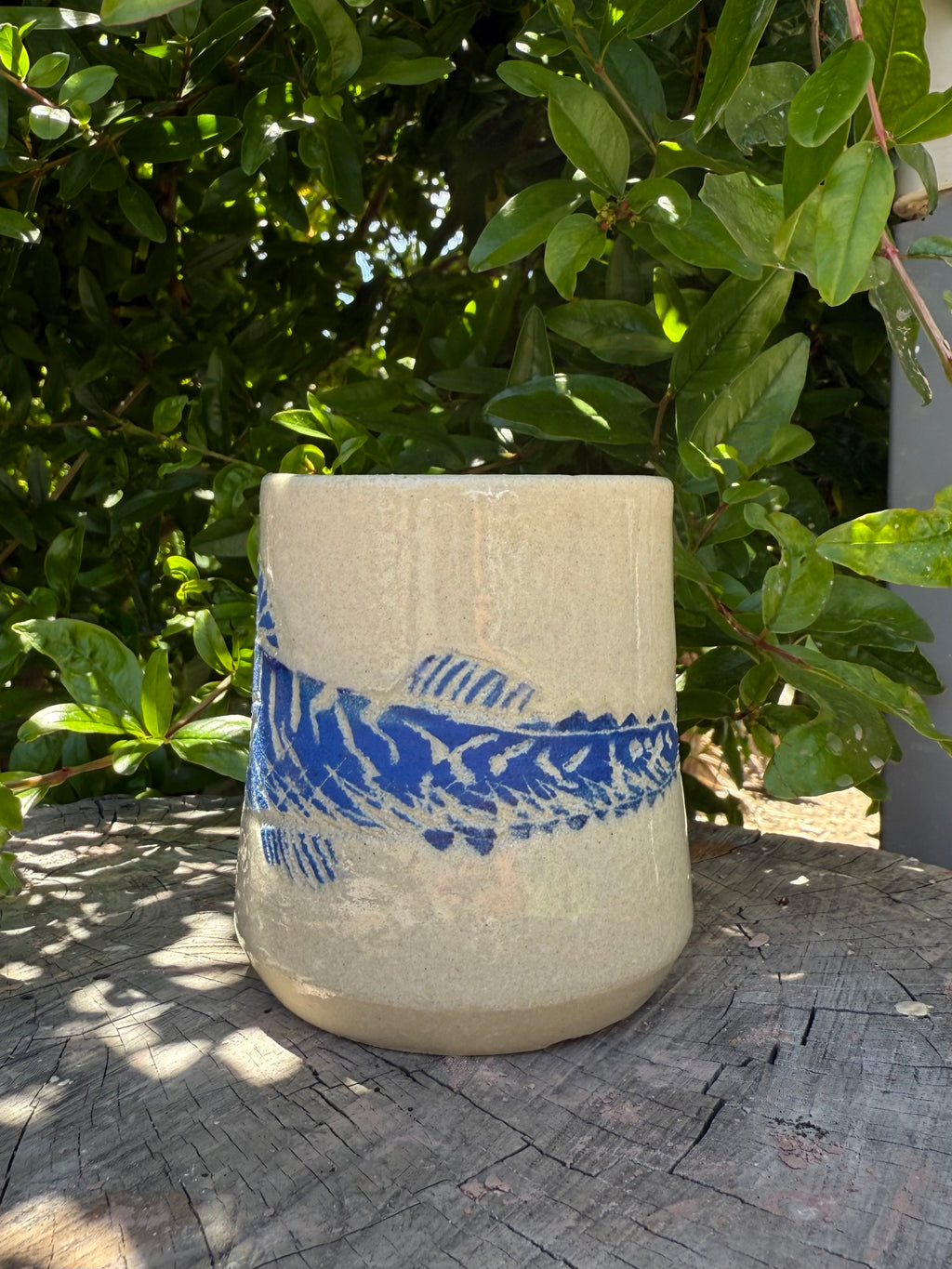 Mackerel Fish Cup