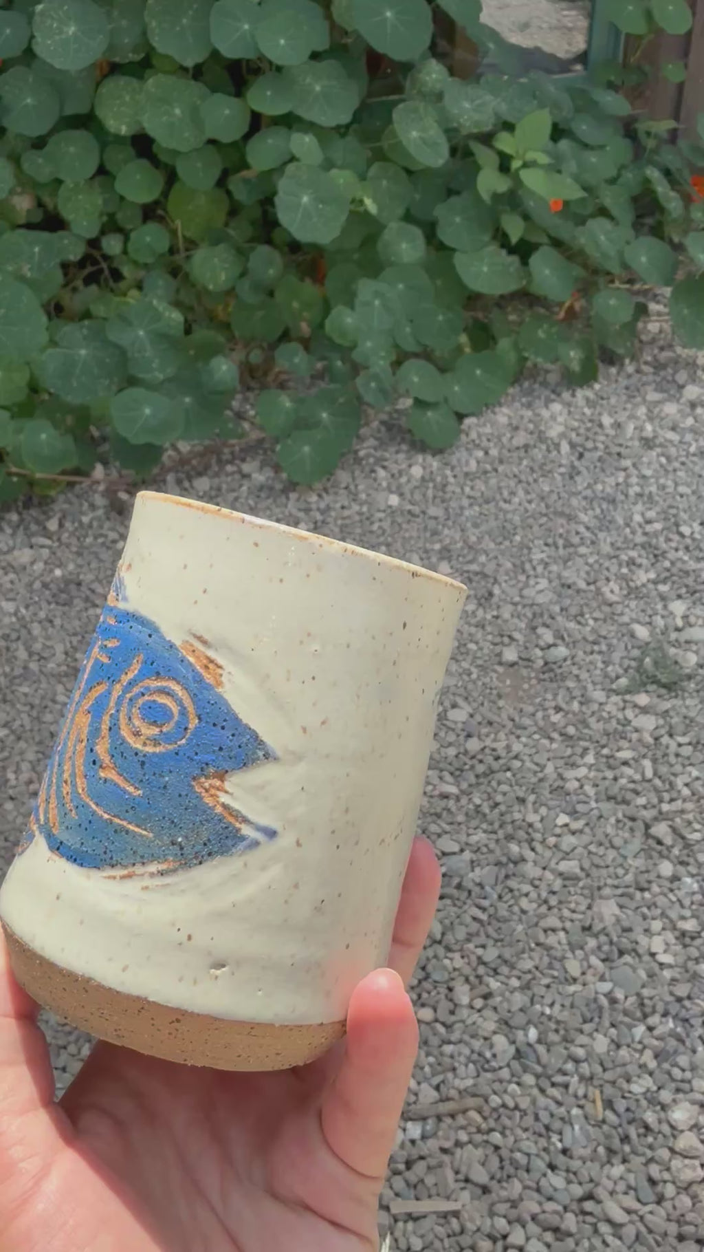 Blue Fin Tuna Cup