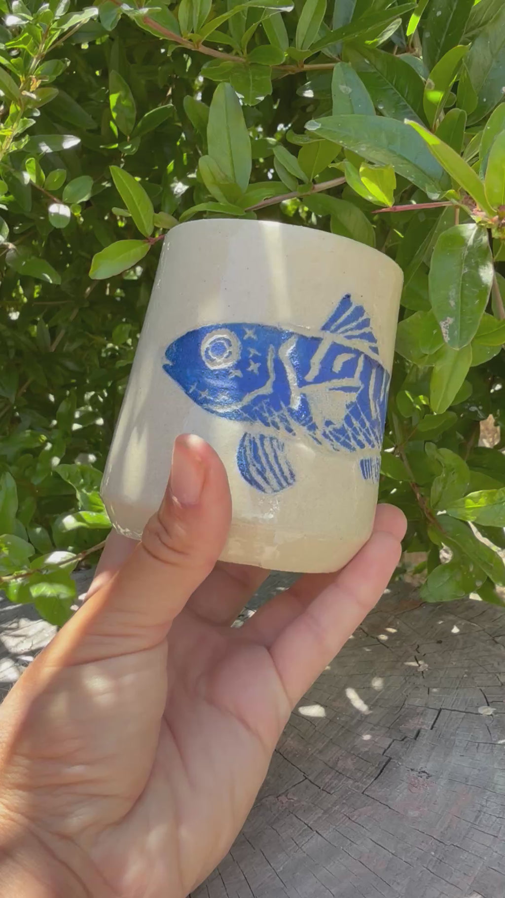 Mackerel Fish Cup